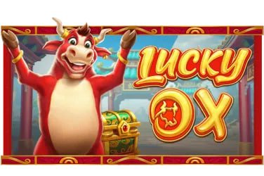 Bangladesh cricket fans reading team odds on 66zz app via smartphone